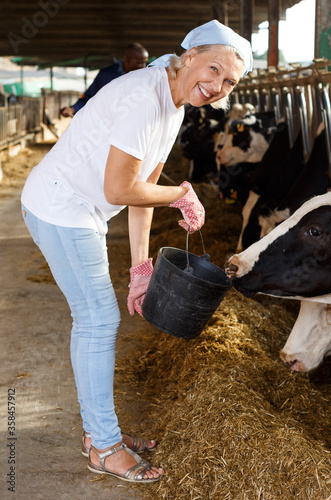 Smiling female farmer with bucket feeding cow at the cow farm