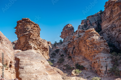 It s Rocks and nature in Petra  Jordan