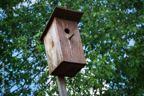 Wooden bird house in bright green foliage.
