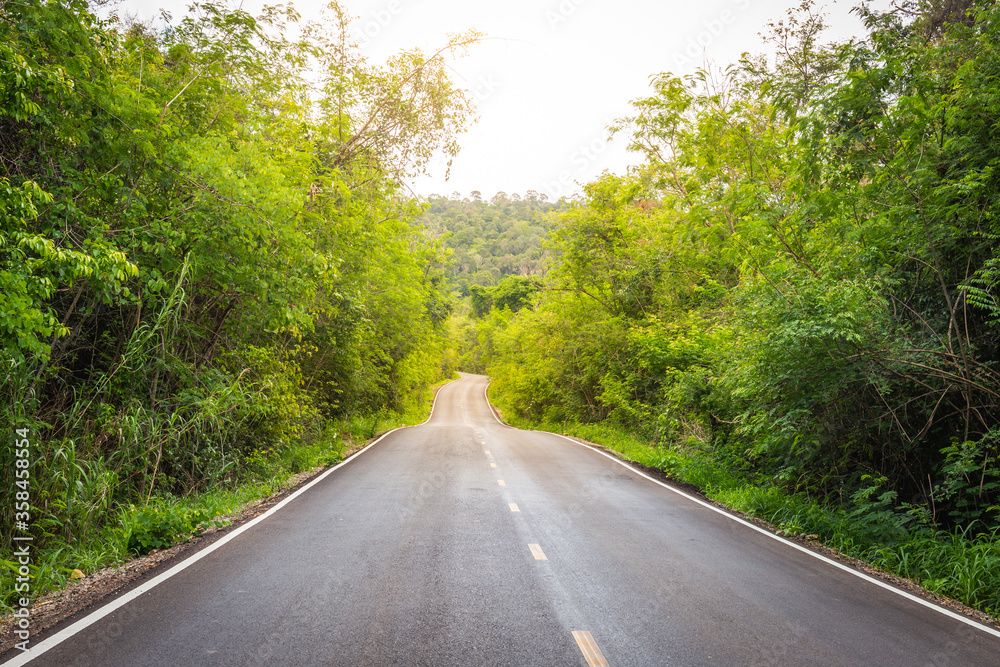Road in the forest on the mountain in Nakhon Ratchasima, Thailand Road in the forest on the mountain in Nakhon Ratchasima, Thailand