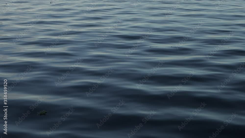 Movement of the dark waters of the Rio Negro.