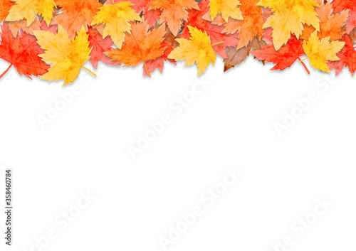 frame of red leaves in autumn concept isolated on white background. Flat lay, top view, copy space.