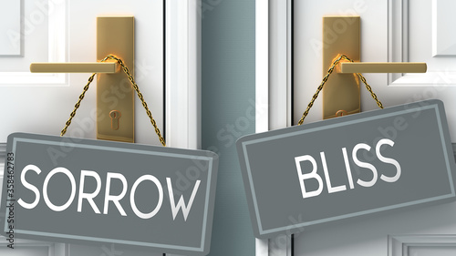Photography bliss or sorrow as a choice in life - pictured as words sorrow, bliss on doors t
