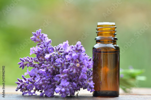 bottle of essential oil and bouquet of  lavender flower s arranged on a wooden table on green background