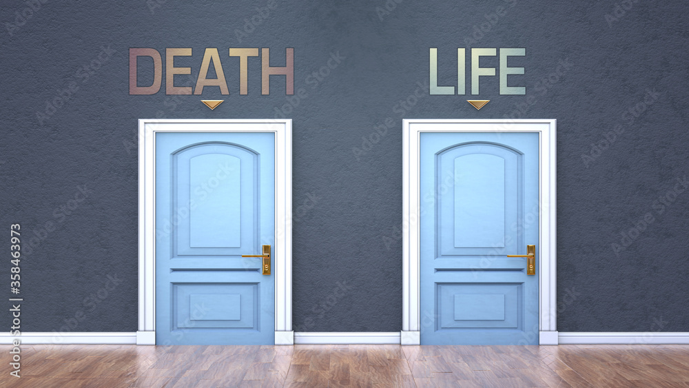Death and life as a choice - pictured as words Death, life on doors to show that Death and life are opposite options while making decision, 3d illustration