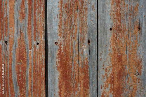 Old wood texture background. Old fence. © Olena Shulzhenko