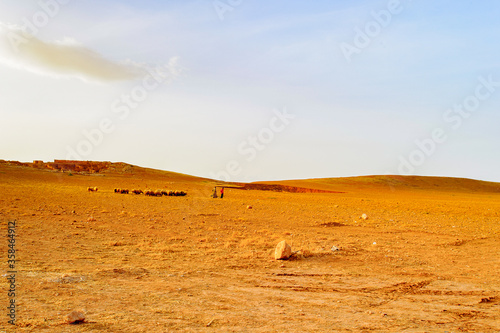 Sheep flock carried by two people in the desert