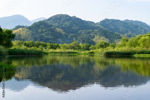 初夏の麻機遊水地の水面 緑の木々と葦のリフレクション 静岡市 