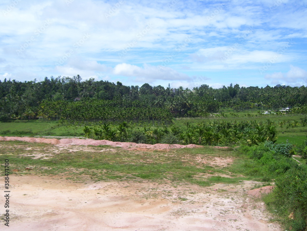 Landscape view of green trees and blue sky Landscape view of green trees and blue sky
