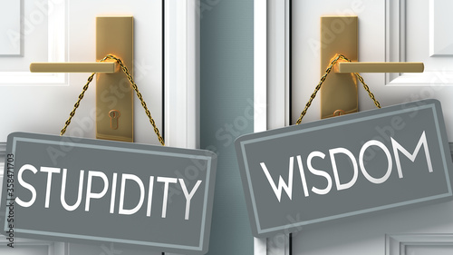 wisdom or stupidity as a choice in life - pictured as words stupidity, wisdom on doors to show that stupidity and wisdom are different options to choose from, 3d illustration photo