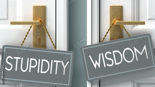 wisdom or stupidity as a choice in life - pictured as words stupidity, wisdom on doors to show that stupidity and wisdom are different options to choose from, 3d illustration