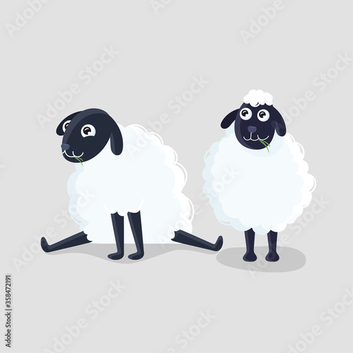 Two Cartoon Sheep in Different Poses on Grey Background.