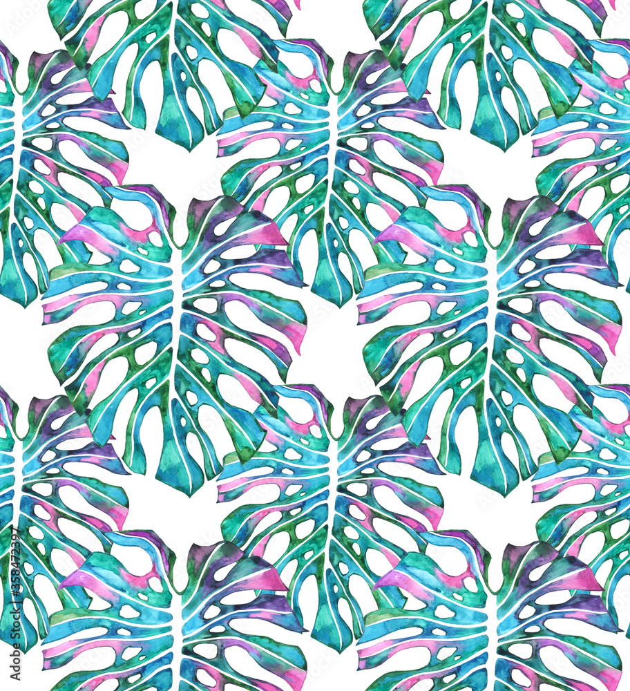 Multicolored monstera leaves