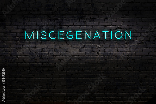 Neon sign. Word miscegenation against brick wall. Night view photo