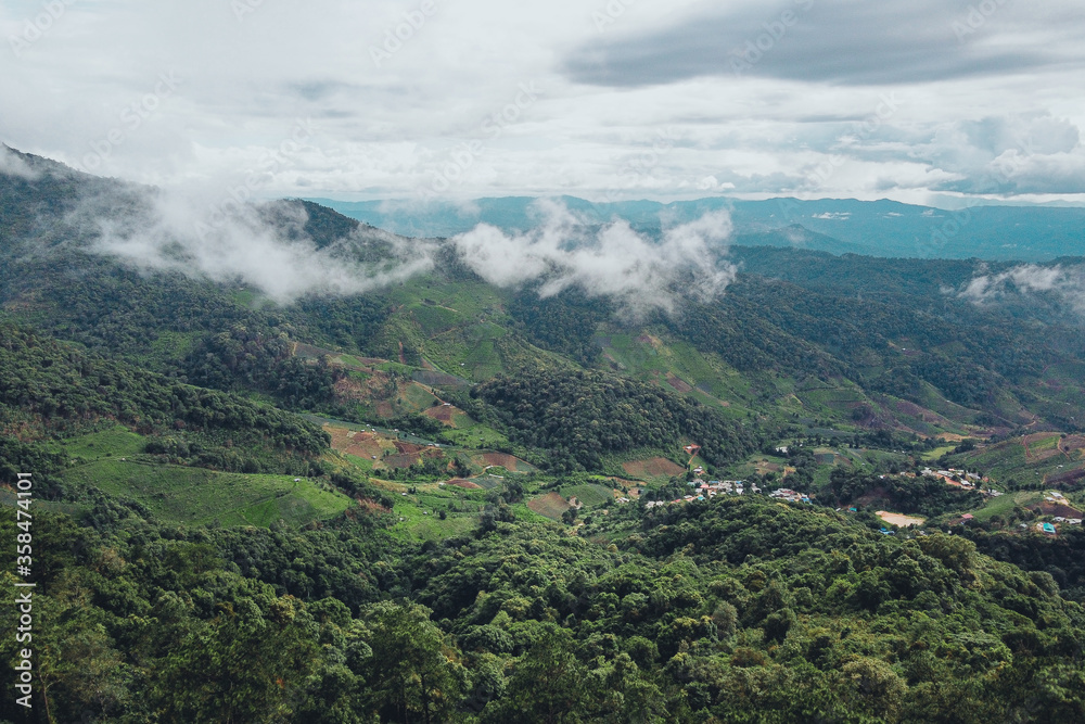 Mountains and green trees during the day