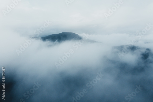 Mountains and green trees during the day