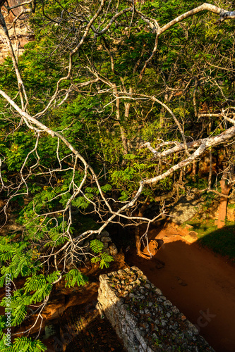 Nature of Sigiriya, Sri Lanka. UNESCO World Heritage Site