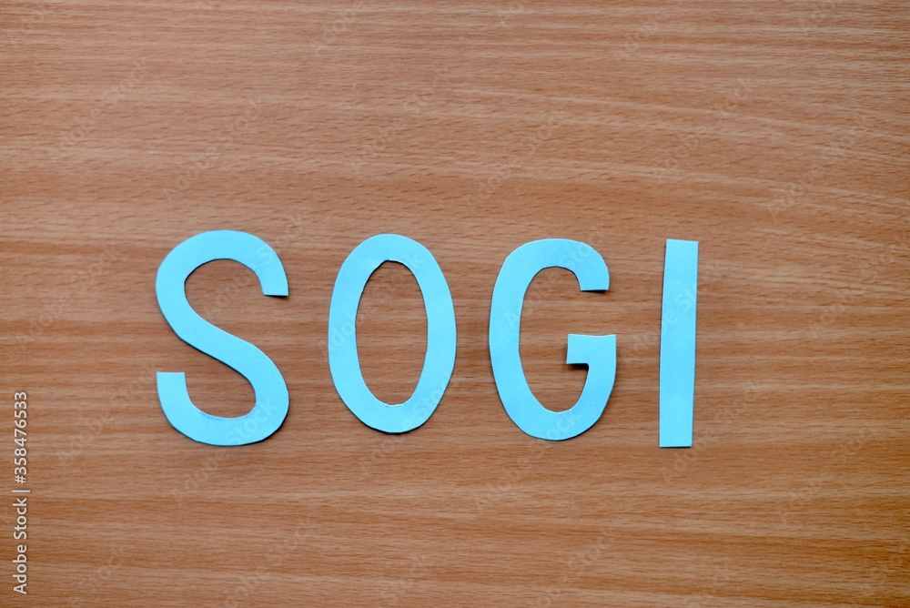 SOGI(ソジ): sexual orientation and gender identity SOGI(ソジ): sexual orientation and gender identity
