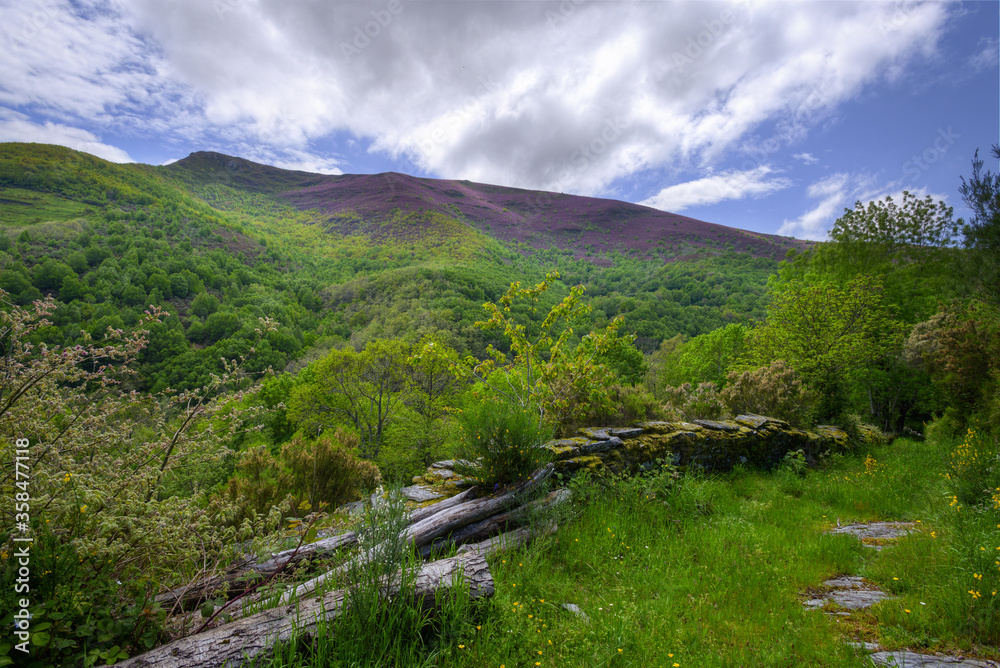 Spring Landscape in the Courel Mountains