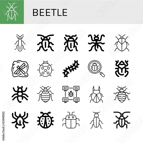 Set of beetle icons