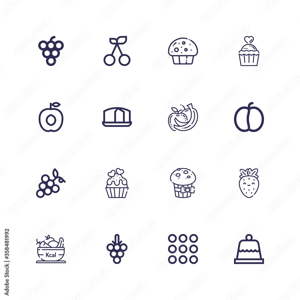 Editable 16 berry icons for web and mobile Editable 16 berry icons for web and mobile