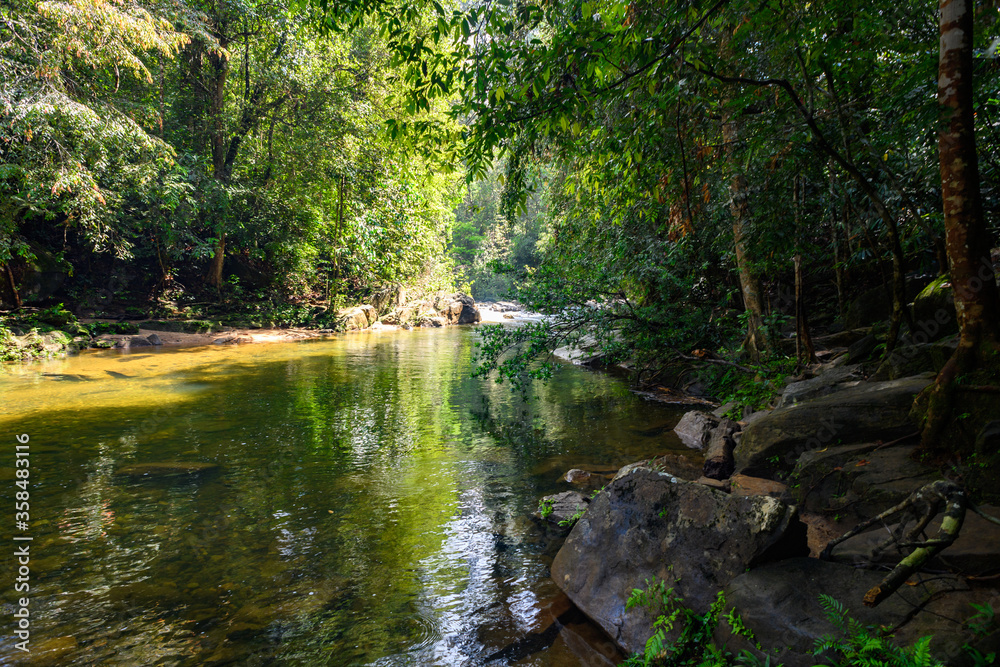 River in the Sinharaja Forest Reserve, a national park in Sri Lanka. UNESCO World Heritage River in the Sinharaja Forest Reserve, a national park in Sri Lanka. UNESCO World Heritage