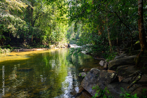 Fototapeta Naklejka Na Ścianę i Meble -  River in the Sinharaja Forest Reserve,  a national park in Sri Lanka. UNESCO World Heritage