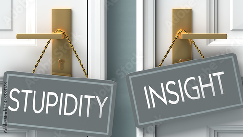 insight or stupidity as a choice in life - pictured as words stupidity, insight on doors to show that stupidity and insight are different options to choose from, 3d illustration photo