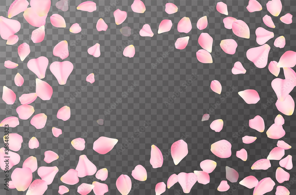 Abstract romanic background with flying Pink rose, cherry or sakura petals petals isolated on a transparent background. Flying pink petals mock up. Vector illustration. EPS 10. Abstract romanic background with flying Pink rose, cherry or sakura petals petals isolated on a transparent background. Flying pink petals mock up. Vector illustration. EPS 10.