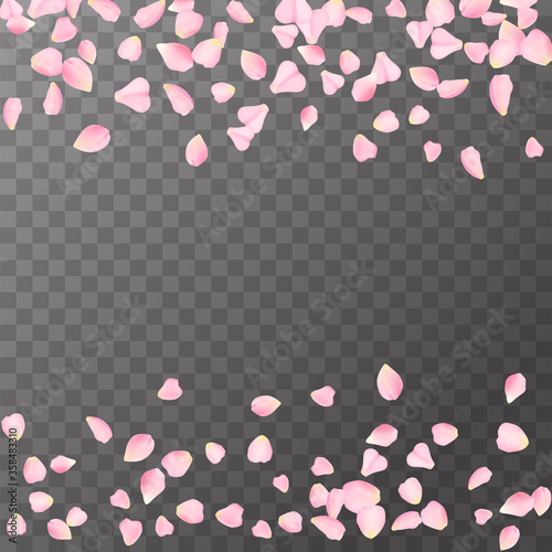 Abstract romanic background with flying Pink rose, cherry or sakura petals petals isolated on a transparent background. Flying pink petals mock up. Vector illustration. EPS 10.