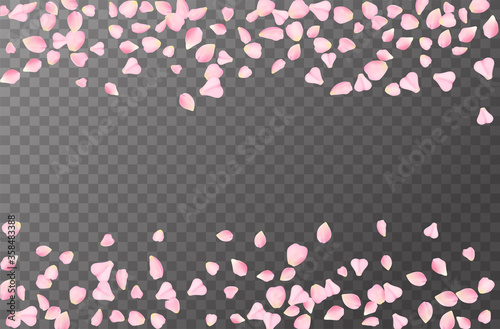 Abstract romanic background with flying Pink rose, cherry or sakura petals petals isolated on a transparent background. Flying pink petals mock up. Vector illustration. EPS 10.