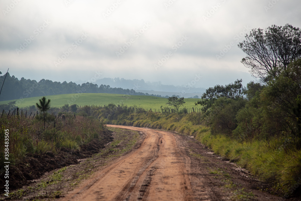 Dirt road in the rural landscape of the pampa biome in southern Brazil