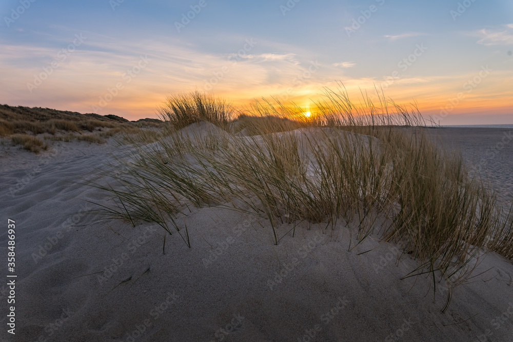 Sand dunes at Sylt Ellenbogen - sunset with beatiful yellow sky with little clouds
Sand dunes at Sylt Ellenbogen - sunset with beatiful yellow sky with little clouds