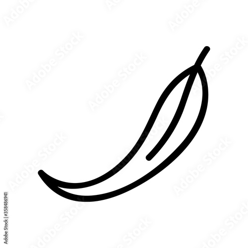 eucalyptus plant leaf icon vector. eucalyptus plant leaf sign. isolated contour symbol illustration