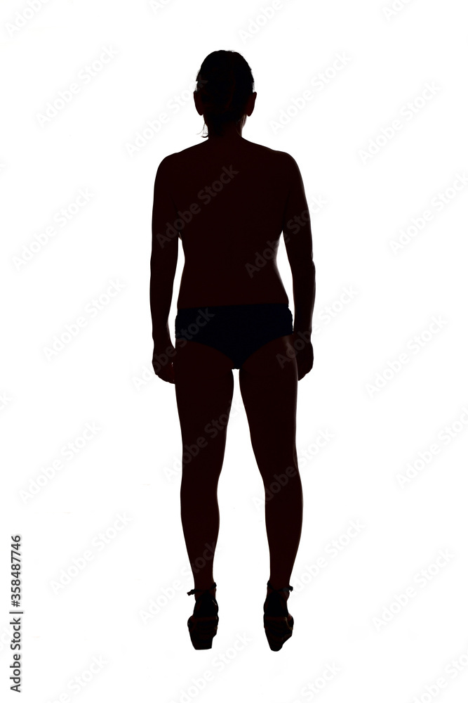 silhouette of a pregnant woman, rear view silhouette of a pregnant woman, rear view