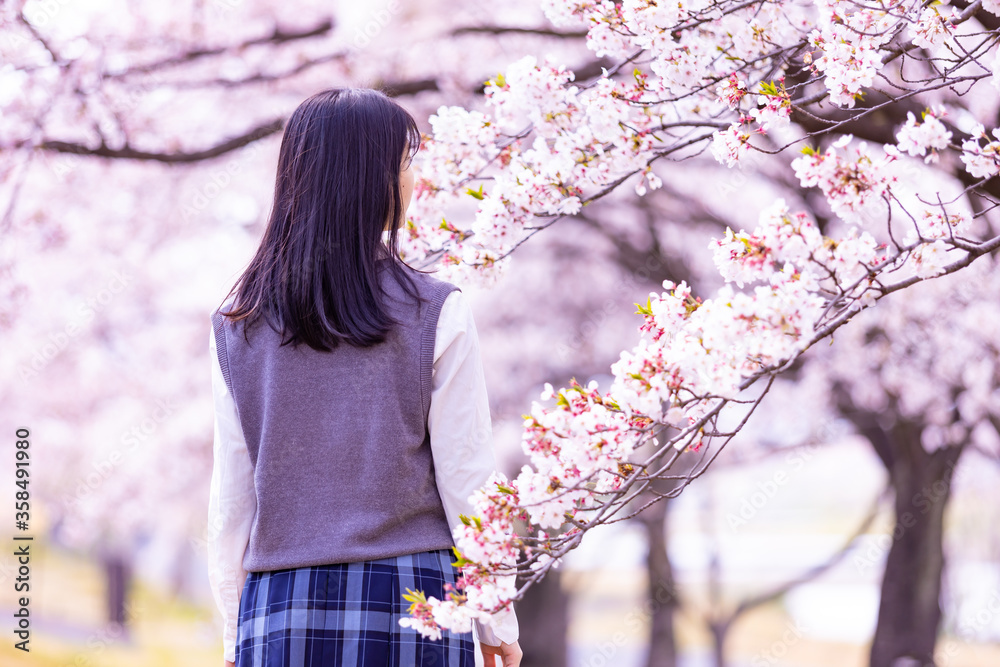 女子学生と桜