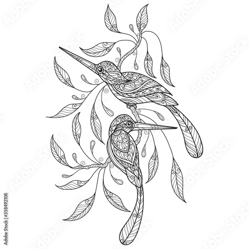 Kingfisher. Hand drawn sketch illustration for adult coloring book