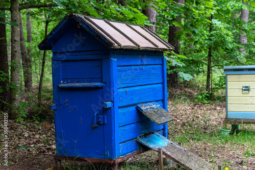 Blue beehive in the forest on summer.