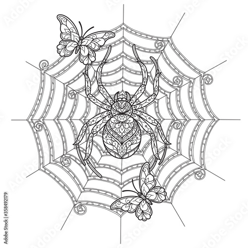 Spider and butterfly. Hand drawn sketch illustration for adult coloring book.