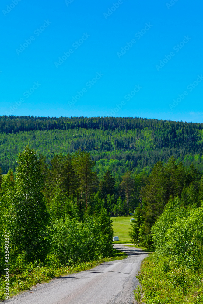 Boden, Sweden A summer landscape of fields and hills Boden, Sweden A summer landscape of fields and hills