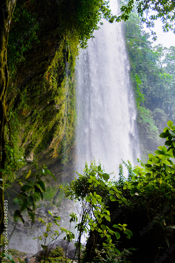 Obraz premium Cascada de Misol-Ha, a waterfall in the Municipality of Salto de Agua, Chiapas, Mexico