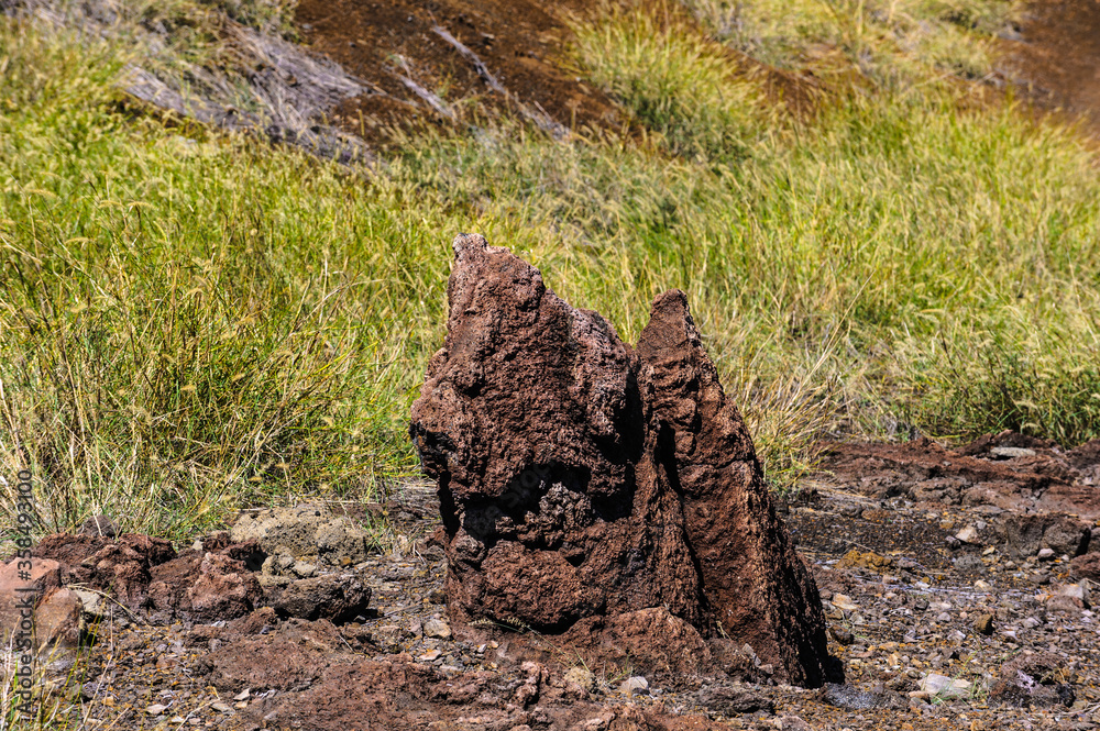 Fototapeta premium It's Solidified lava on the grass