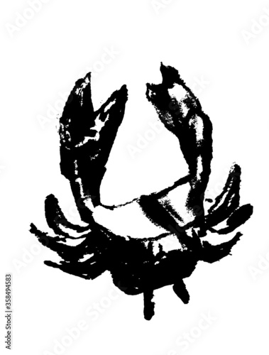 drawing picture of a small crab on a white background, lit by the sun, sketch hand-drawn graphic vector illustration photo