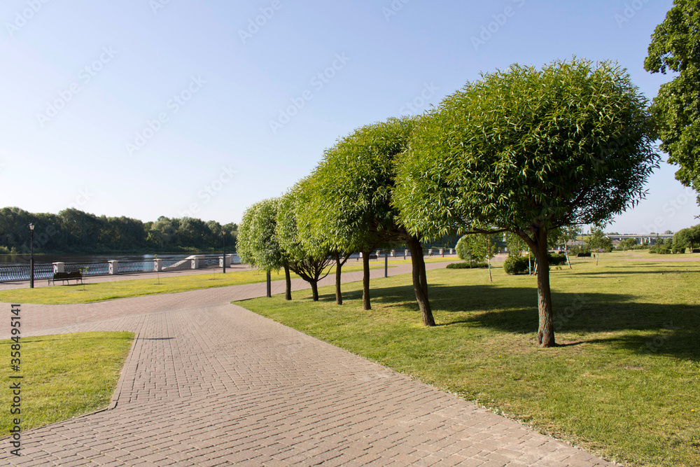 Alley in the Park on a summer morning. Alley in the Park on a summer morning.