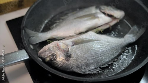 Presentation of fresh sea bream on grill pan ready to cook photo