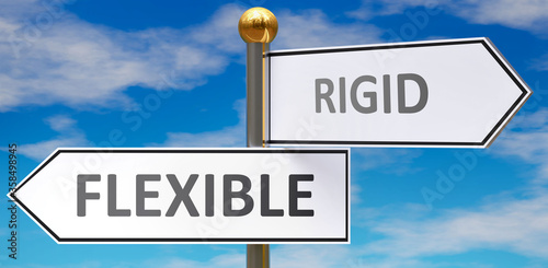 Flexible and rigid as different choices in life - pictured as words Flexible, rigid on road signs pointing at opposite ways to show that these are alternative options., 3d illustration