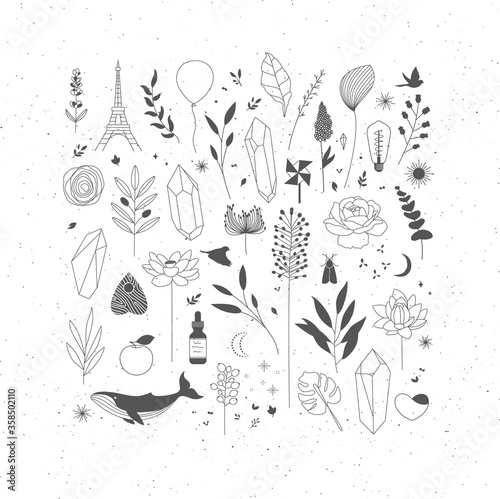Set of different decorative elements with branches, flowers, animals and various objects.