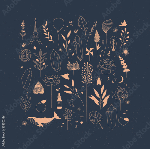 Set of different decorative elements with branches, flowers, animals and various objects drawing on blue background