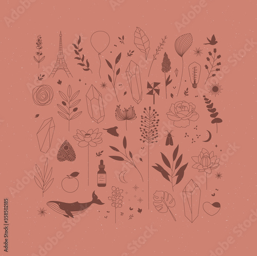 Set of different decorative elements with branches, flowers, animals and various objects drawing on coral background