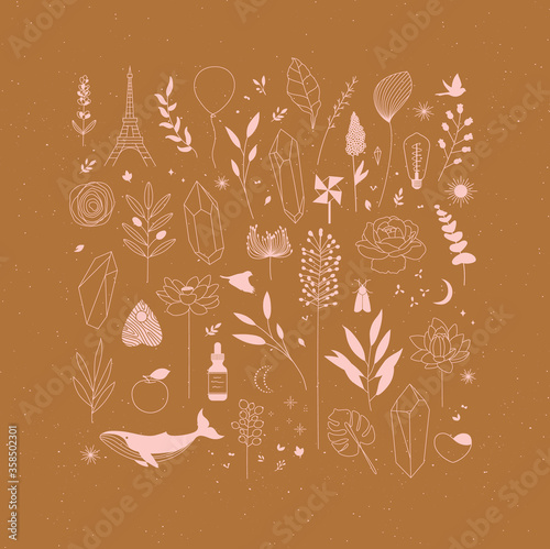 Set of different decorative elements with branches, flowers, animals and various objects drawing on mustard background